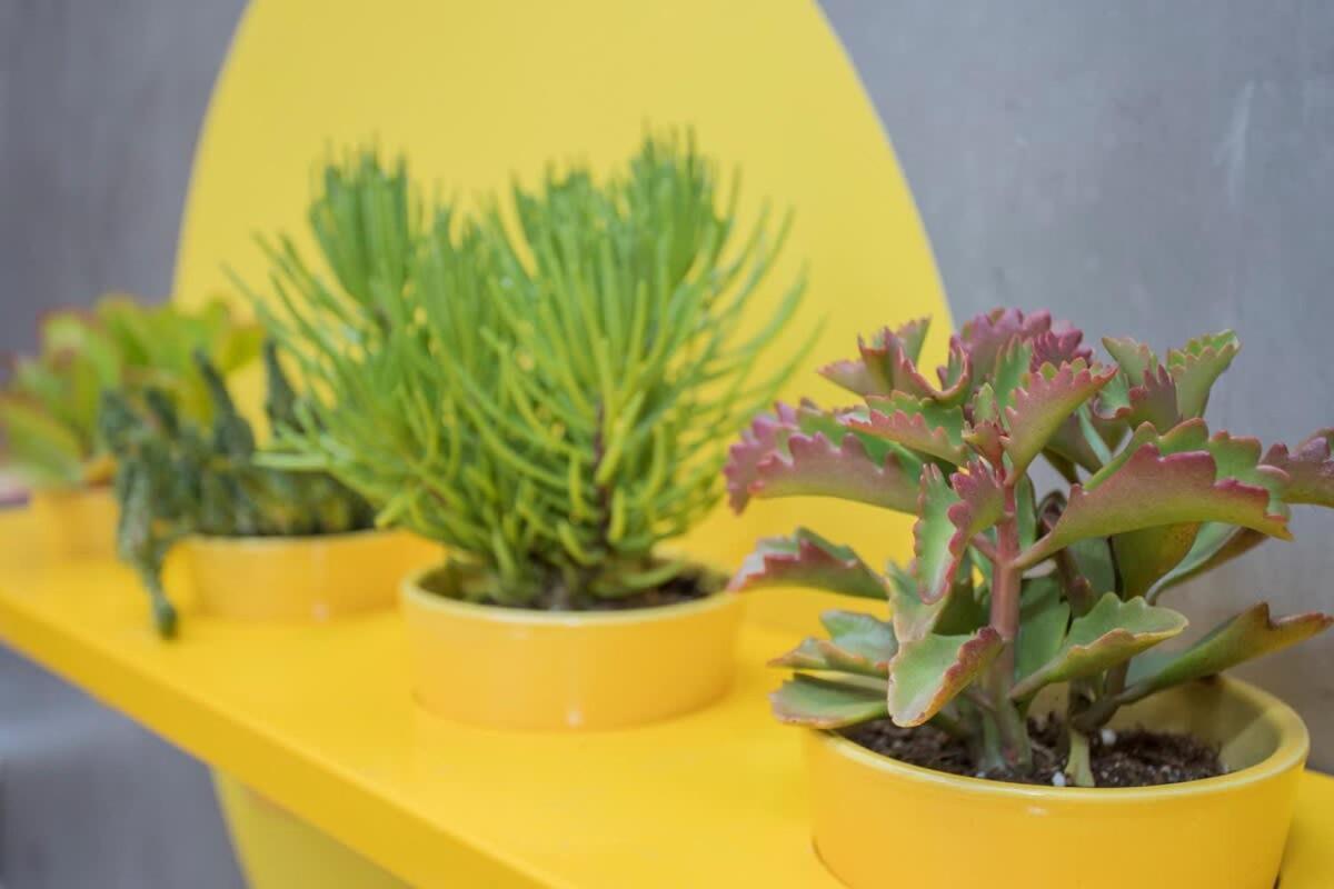 Liiiving In Porto - Clerigos Terrace Apartment Exterior foto
